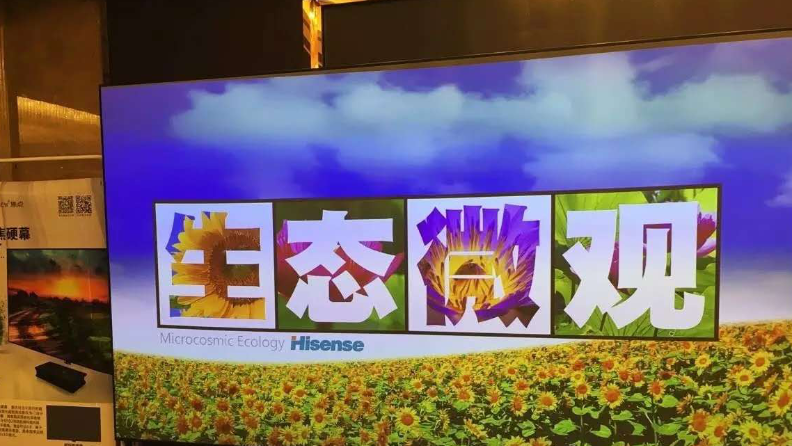 激光电视投电动幕效果好吗？【南京人生就是博音响】